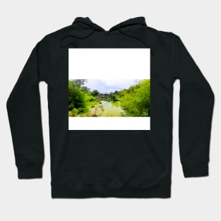 the zen garden in wetland paradise ecopop photo Hoodie